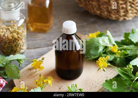 Eine dunkle Glasflasche mit Greater Celandine oder Tetterwort-Tinktur mit frisch blühender Chelidonium-Pflanze Stockfoto