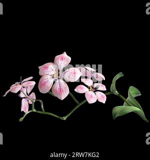 3D-Illustration von Blume und Blatt isolierten schwarzen Hintergrund Stockfoto