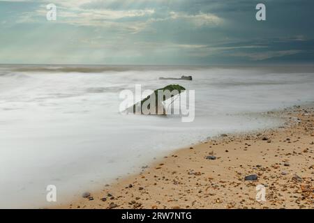 Ein Stück Treibholz im Sand, während die Wellen um ihn herum kreisen, und ein schöner bläulich-grüner Himmel dahinter Stockfoto