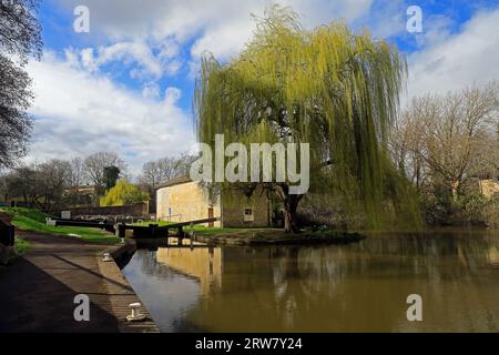 Trauerweide an der Pumpstation am Kennet- und Avon-Kanal am Widcombe Bottom Lock, City of Bath, England. September 2023 Stockfoto