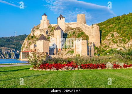 Golubac Festung Burgmauern und Türme, am Donauufer mit roten Blumen im Vordergrund, Serbien Stockfoto