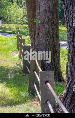 Ein Metallschienenzaun führt durch Betonpfosten. Der Zaun geht schräg vor Baumstämmen. Der Boden ist grünes Gras. Eine Straße befindet sich im Stockfoto