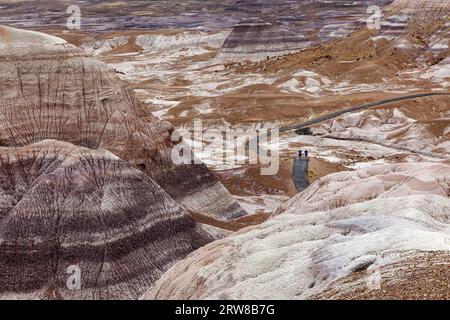 Blue Mesa, Petrified Forest National Park, Arizona, USA Stockfoto