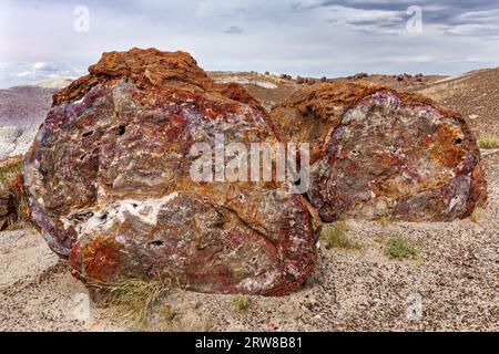 Versteinertes Holz stammt aus der späten Trias, vor etwa 225 Millionen Jahren. Petrified Forest National Park, Arizona, USA Stockfoto