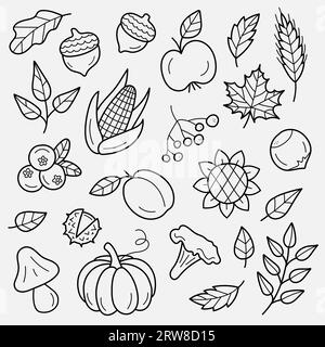 Symbole für die Herbsternte. Set aus handgezeichneten Herbstelementen. Blätter, Beeren, Obst, Gemüse, Pilze, Eicheln. Vektorillustration im Doodle-Stil Stock Vektor