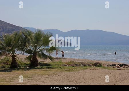 Vlorë, Albanien, Sonntag, 2. September 2023 Stadtzentrum von zu Fuß zu Fuß Palmen überall hochwertige große Drucke Stockfoto