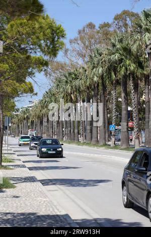 Vlorë, Albanien, Sonntag, 2. September 2023 Stadtzentrum von zu Fuß zu Fuß Palmen überall hochwertige große Drucke Stockfoto