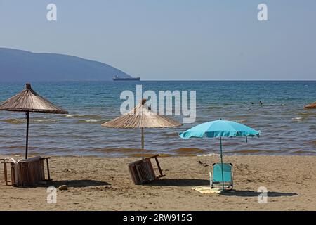 Vlorë, Albanien, Sonntag, 2. September 2023 Stadtzentrum von zu Fuß zu Fuß Palmen überall hochwertige große Drucke Stockfoto