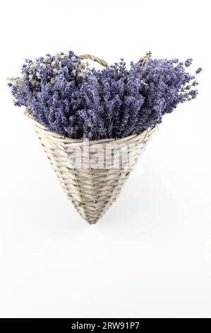 Getrocknete Lavendelblüten (Lavandula) in einem alten Korb isoliert auf weißem Hintergrund. Stockfoto