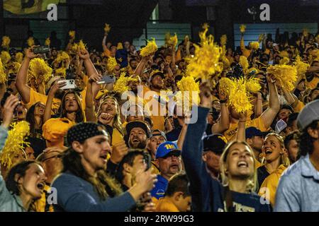 Morgantown, WV, USA. September 2023. 16. September 2023: Fans während der West Virginia University (WVU) vs. Der University of Pittsburgh (Pitt) in Morgantown, WV im Milan Puskar Stadium. Bradley Martin/AMG (Bildnachweis: © AMG/AMG über ZUMA Press Wire) NUR REDAKTIONELLE VERWENDUNG! Nicht für kommerzielle ZWECKE! Stockfoto