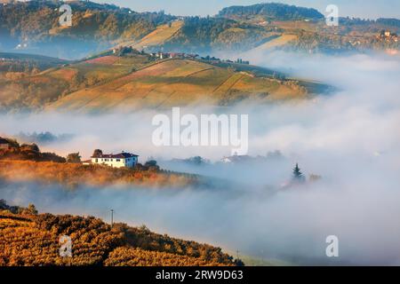 Blick vom Morgennebel über die Hügel mit herbstlichen Weinbergen im Piemont, Italien. Stockfoto