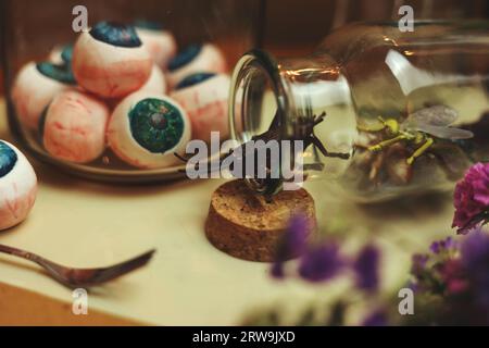 halloween Stillleben mit Augenbrauen, Skorpionen und Insekten Stockfoto