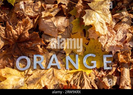 Wort ORANGE mit silbernen Metallbuchstaben auf gefallenen Ahornblättern auf Herbstwaldboden Stockfoto