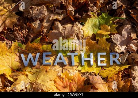 Wortwetterlage mit silbernen Metallbuchstaben auf gefallenen Ahornblättern auf Herbstwaldboden Stockfoto