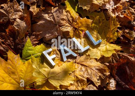 Wortfall mit silbernen Metallbuchstaben auf gefallenen Ahornblättern auf Herbstwaldboden gelegt Stockfoto