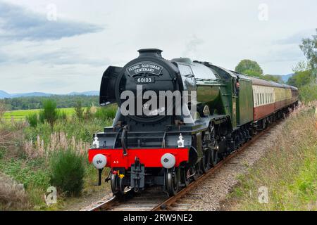Der Flying Scotsman, der auf der Strathspey Railway zwischen Aviemore und Broomhill während seiner Hundertjahrsexkursion nach Schottland fährt Stockfoto