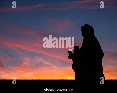 Silhouette im Sonnenuntergang, Statue von Kardinal Carolus Borromeo, italienischer heiliger, Karl, Alte Hauptbrücke, Skulptur, Würzburg, Unterfranken Stockfoto