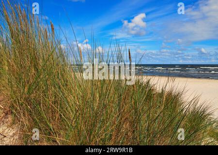 Ostseestrand zwischen Peenemuende und Karlshagen, Insel Usedom Stockfoto