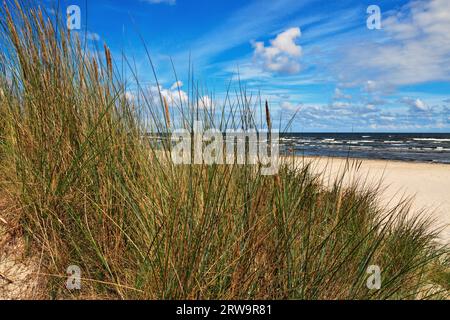 Ostseestrand zwischen Peenemuende und Karlshagen, Insel Usedom Stockfoto