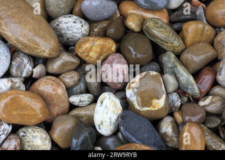 Große Flusskies in verschiedenen Formen, Farben und Größen, Formatfüllung Stockfoto