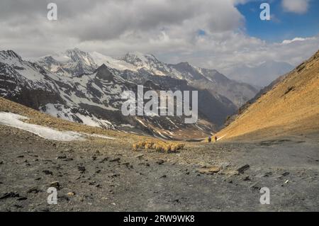 Schafe zu hüten, im Tal des malerischen Bergen des Himalaya in Nepal Stockfoto