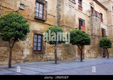 Bischofspalast aus dem 15. Jahrhundert (Spanisch: Palacio Episcopal) historische Fassade an der Calle de Torrijos in der Altstadt von Cordoba, Spanien Stockfoto