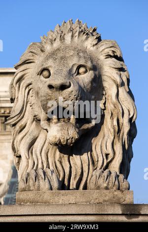 Skulptur des Wächters Löwe aus dem 19. Jahrhundert auf der Szechenyi-Kettenbrücke in Budapest, Ungarn Stockfoto