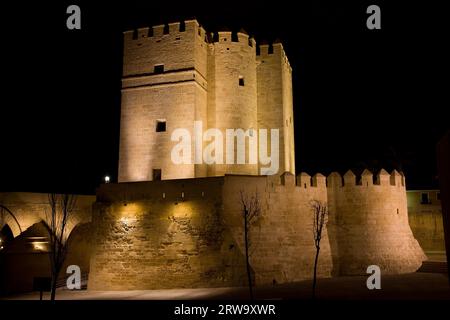 Die Festung des Turms Calahorra erleuchtete nachts in Cordoba, Spanien, Andalusien Stockfoto