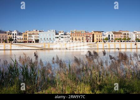 Traditionelle Appartementhäuser im Viertel Triana am Fluss Guadalquivir in Sevilla, Andalusien, Spanien Stockfoto