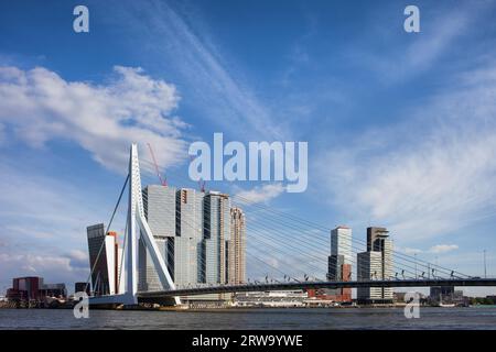 Skyline der Innenstadt von Rotterdam und Erasmus-Brücke am Nieuwe Maas (New Meuse) in den Niederlanden Stockfoto