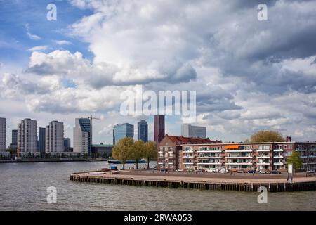 Stadt Rotterdam Stadtbild mit Appartementhäusern auf einer Flussinsel in Südholland, Niederlande Stockfoto