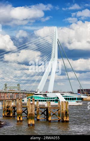 Alte hölzerne Anlegestelle an einem Fluss und Erasmus-Brücke (Niederländisch: Erasmusbrug) in Rotterdam, Südholland, Niederlande Stockfoto