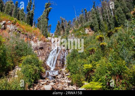 The popular Steavenson Falls during the day near Marysville, Victoria, Australia Stock Photo