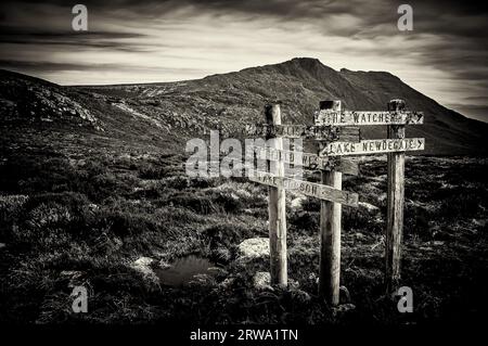 Schilder im Mt Field National Park, Tasmanien, Australien Stockfoto