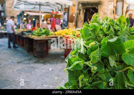 Tenerumi, Blätter und zarte Triebe der langen Kürbispflanze Cucuzza auf dem Markt in Palermo Stockfoto