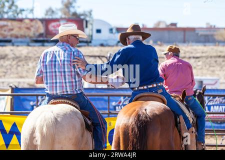 Wickenburg, USA, 5. Februar 2013: Die Fahrer nehmen an einem Team-Roping-Wettbewerb in Wickenburg, Arizona, USA, Teil Stockfoto