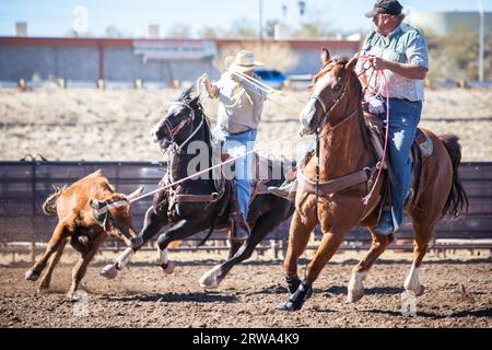 Wickenburg, USA, 5. Februar 2013: Die Fahrer nehmen an einem Team-Roping-Wettbewerb in Wickenburg, Arizona, USA, Teil Stockfoto