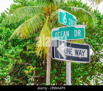 Ocean Drive Straßenschild und eine Palme dahinter in Miami Beach, Florida Stockfoto