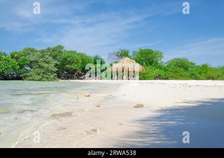 Blick durch die Mangroven Mangel Halto Beach in Aruba Stockfoto