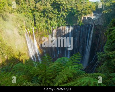 Blick aus der Vogelperspektive auf die Tumpak Sewu Wasserfälle, auch bekannt als Coban Sewu. Die wunderschönen Tumpak Sewu Wasserfälle sind eine Touristenattraktion in Ost-Java, Indonesien.A Stockfoto