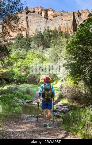 Rückansicht einer Wanderin auf dem Old Pinnacles Trail. Stockfoto