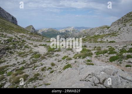 Mallorca, Spanien - 13. Juni 2023: Blick auf die Bucht von Alcudia vom Coll des Prat und den Tramuntana Mountains, Mallorca Stockfoto