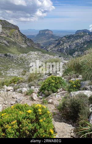 Mallorca, Spanien - 12. Juni 2023: Blick auf den GR221 Trail durch die Tramuntana Mountains, Mallorca Stockfoto