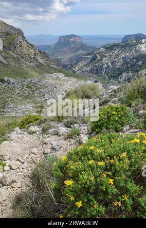 Mallorca, Spanien - 12. Juni 2023: Blick auf den GR221 Trail durch die Tramuntana Mountains, Mallorca Stockfoto