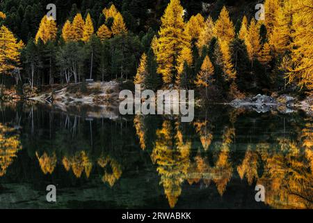 Ruhiger Bergsee mit Herbstfarben-Reflexen im Herzen der Schweizer Alpen Stockfoto