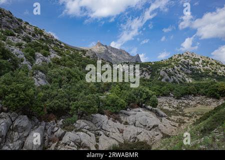 Mallorca, Spanien - 12. Juni 2023: Blick auf den GR221 Trail durch die Tramuntana Mountains, Mallorca Stockfoto