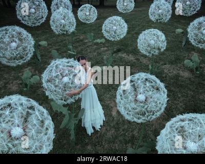 Wunderschöne Ballerina mit riesigen Löwenzahn-Blüten Stockfoto