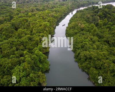 Wunderschöner Blick auf den grünen amazonas-Regenwald Igarapé in der Nähe von Juruena Stockfoto