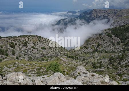 Mallorca, Spanien - 11. Juni 2023: Blick auf das Mittelmeer und die Tramuntana-Berge von Puig Caragoli, Mallorca Stockfoto