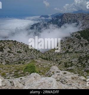 Mallorca, Spanien - 11. Juni 2023: Blick auf das Mittelmeer und die Tramuntana-Berge von Puig Caragoli, Mallorca Stockfoto